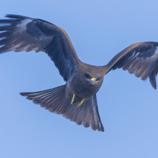 채무조정 신청하면 압류된 통장은 풀릴까요? 관련 이미지